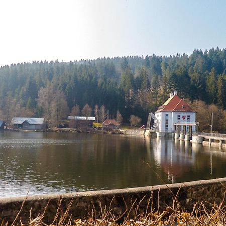 Ferienhaus Nr 18B1, Feriendorf Hagbuegerl, Bayr Wald Waldmünchen Екстериор снимка